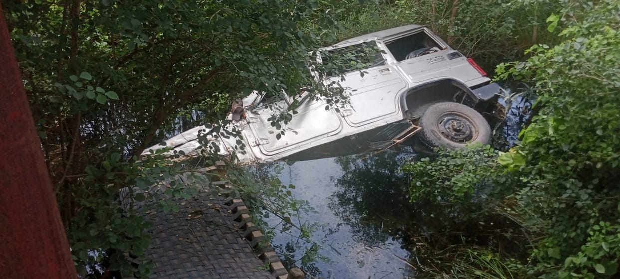 Bolero overturns into a ditch after hitting a tree; youth dies