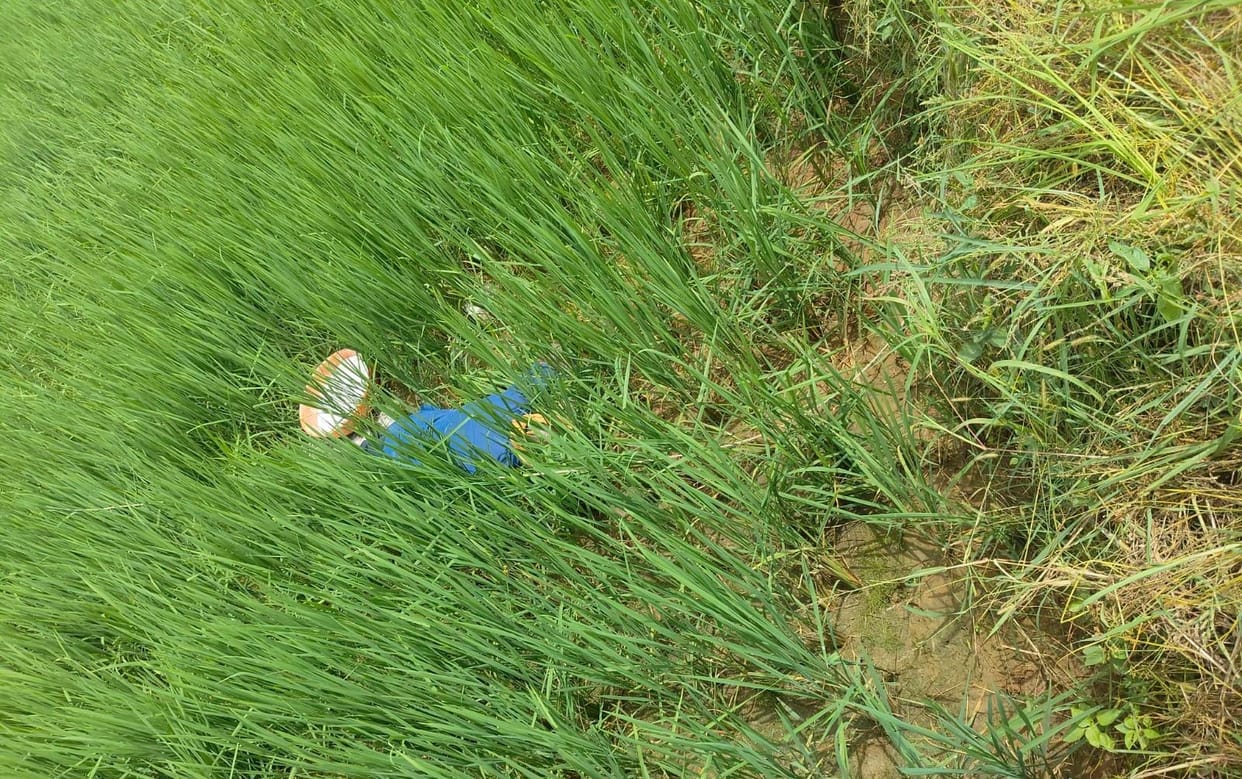 Farmer Dies of Electrocution While Applying Fertilizer in Field