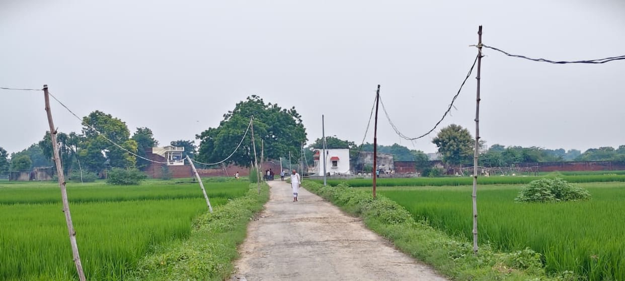 100 crore rupees spent on revamp, yet power supply depends on bamboo poles