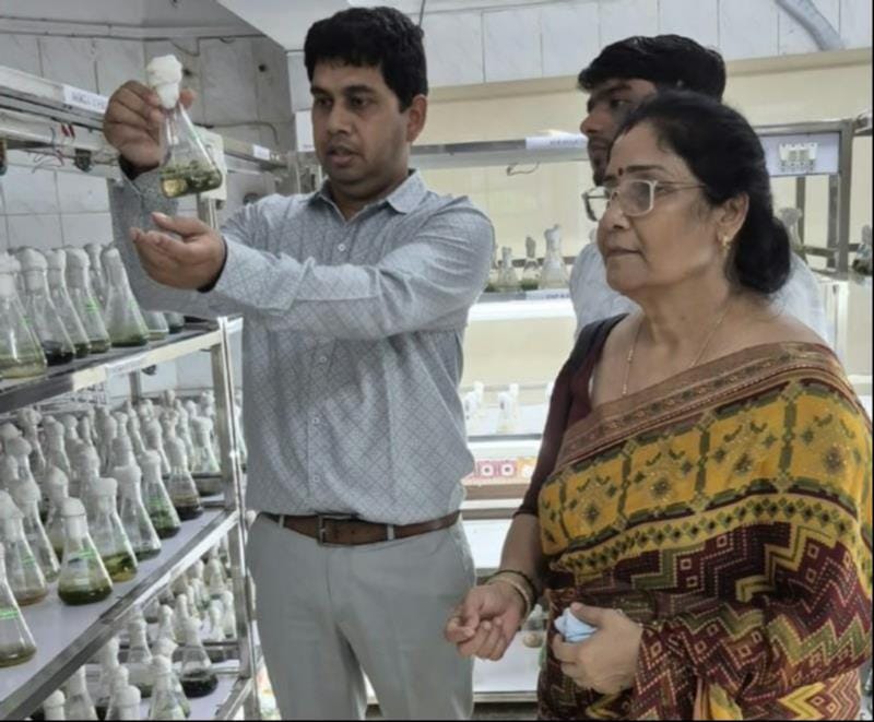 Algae from water bodies will boost farm fertility.