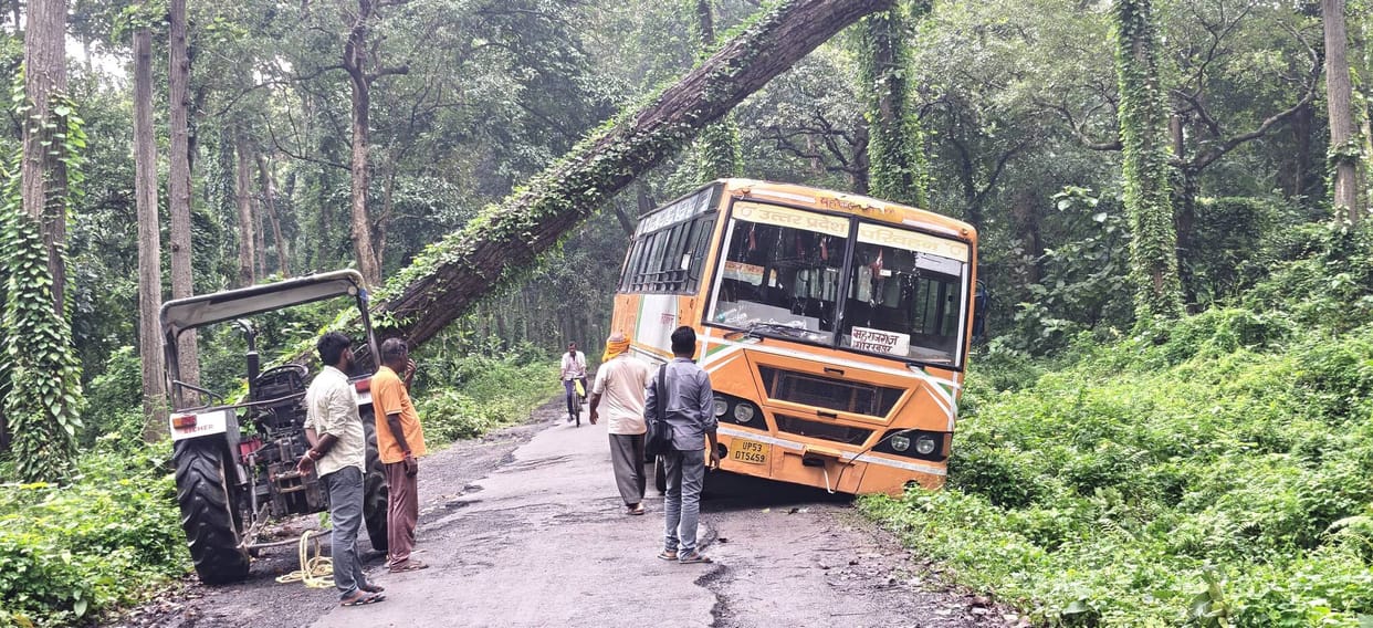 Traffic on the Nichlaul-Bahuar forest route was disrupted for two hours due to a fallen teak tree.