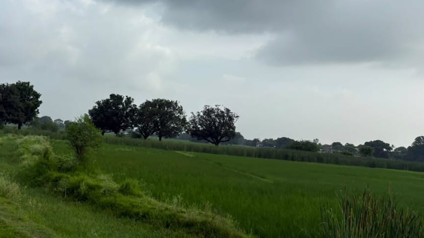 Drizzle increased the temperature by one degree
