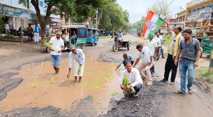 सड़क पर बने गढ्ढे में धान रोपकर विरोधी जताते कांग्रेस कार्यकर्ता
