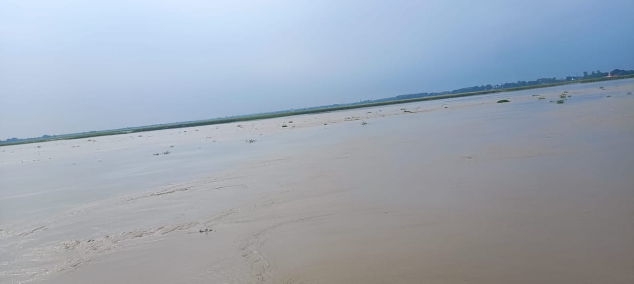 First submerged by floods, now gripped by infection: Skin disease spreading rapidly in about 10 villages of the Devranchal region for the past 15 days.