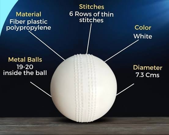How visually impaired players hit fours and sixes on the field