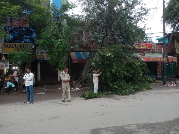 धामपुर में नगीना चौराहे पर बिजली की लाइन पर गिर पड़ा पेड़। संवाद