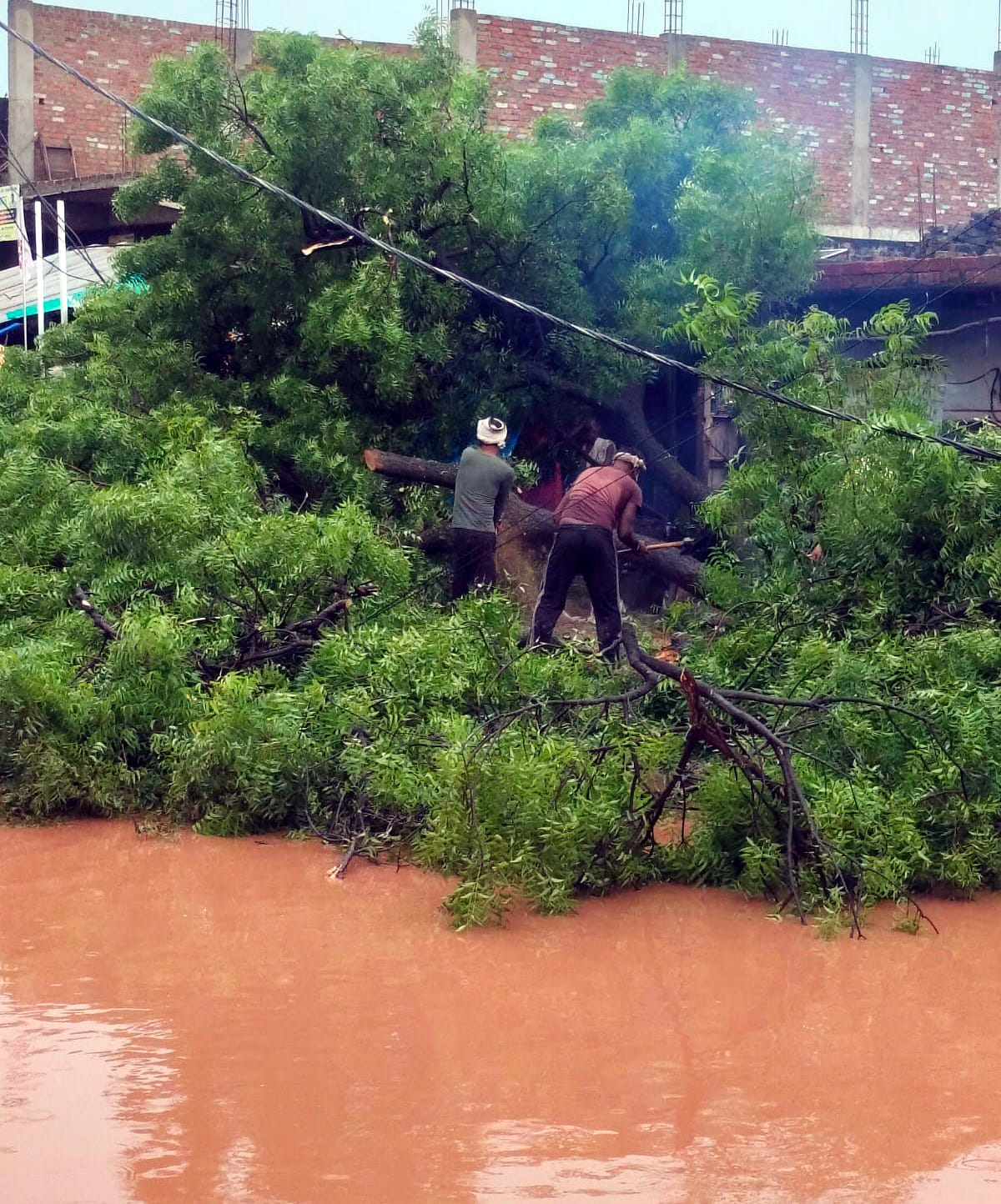 Life disrupted in villages and towns due to continuous rain