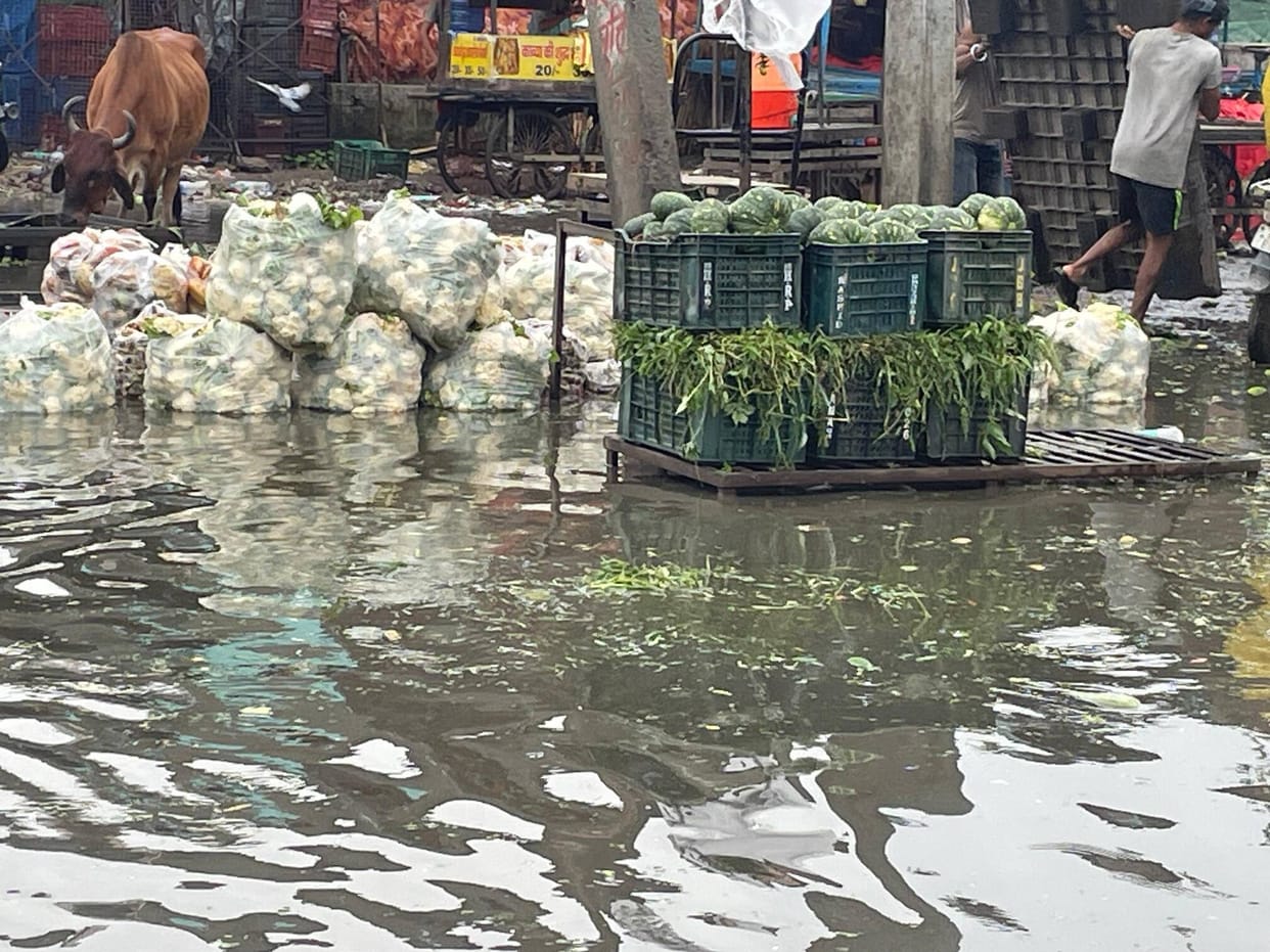 Vegetables floating in contaminated water; waterlogging causes trouble at Dabua Mandi.