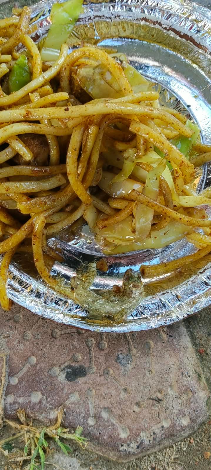 Lizard found in chowmein; boy falls ill.