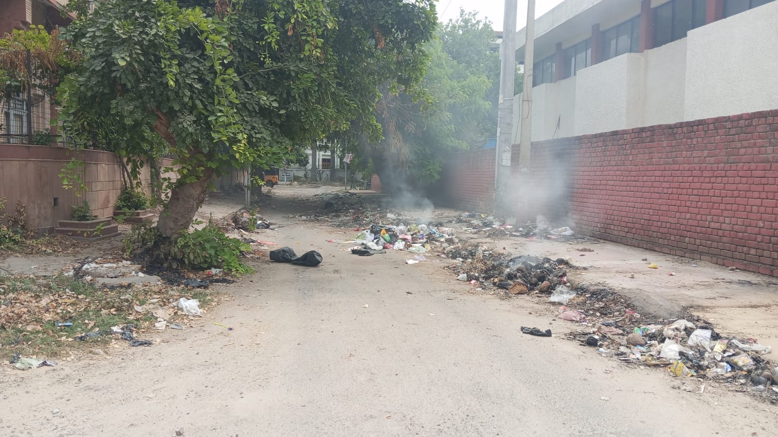 हिसार के अर्बन एस्टेट में सामुदायिक केंद्र केपास जल रहा कूड़ा। अमर उजाला