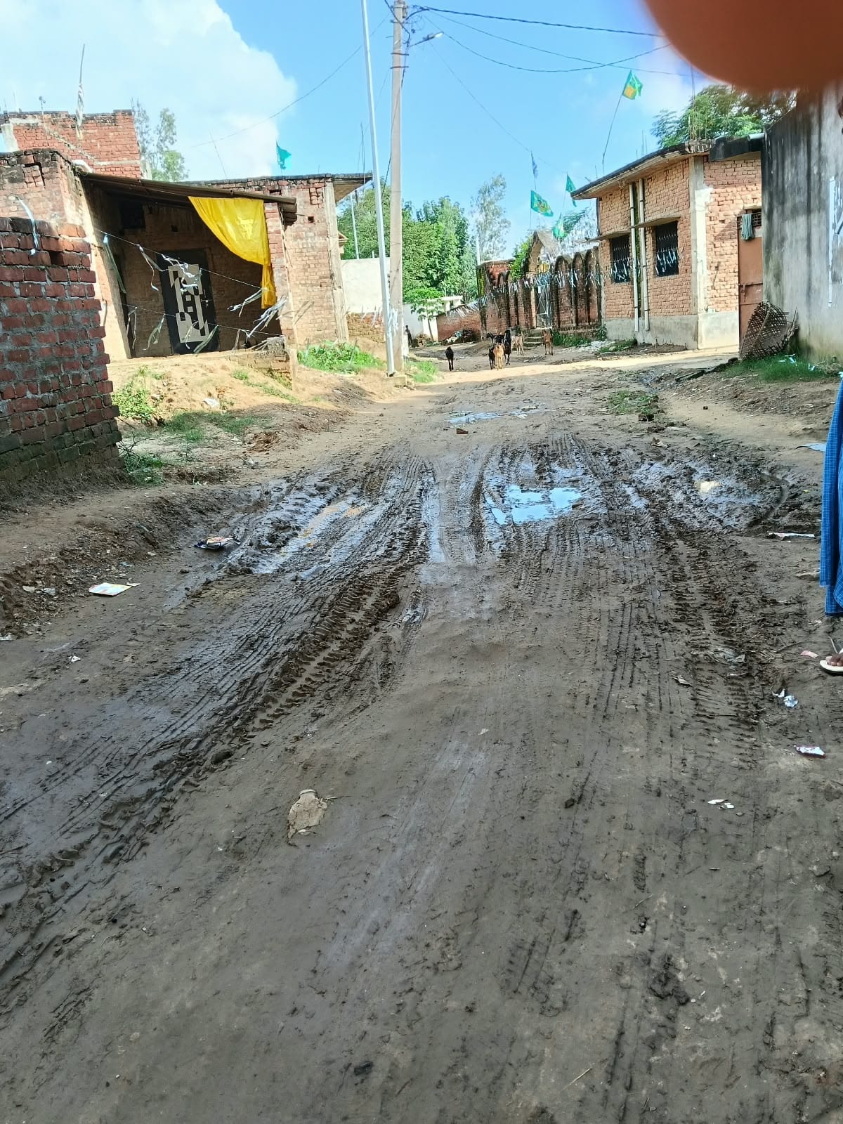 रामनगर भटोलवा मार्ग बदहाल संवाद