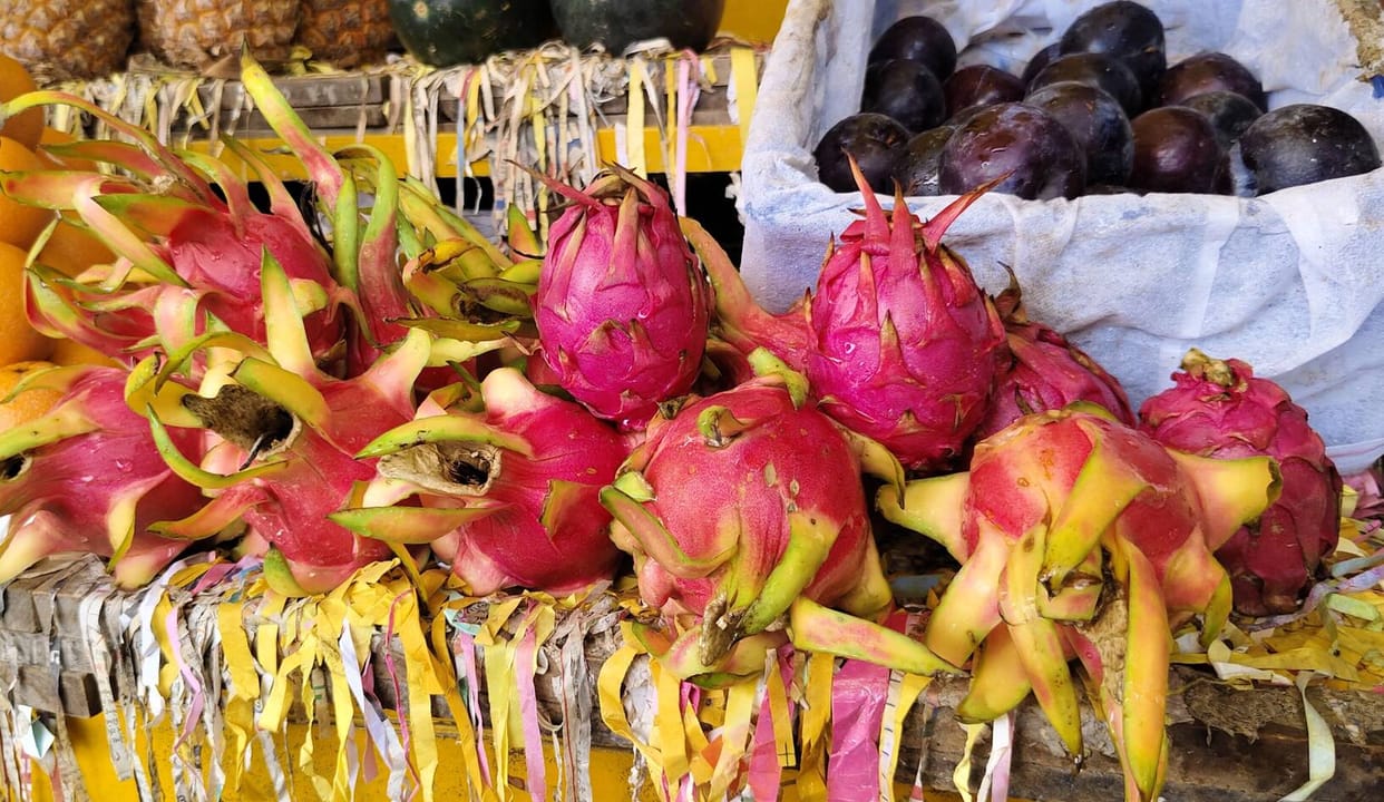The secret to fighting diseases lies hidden in dragon fruit.