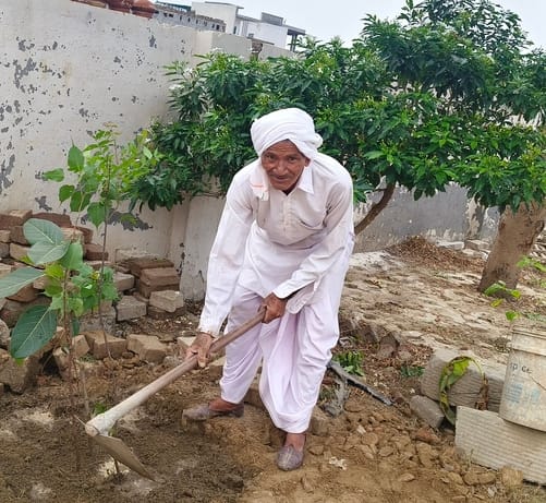 दुर्गा मंदिर परिसर में त्रिवेणी का पौधा लगाकर पर्यावरण संरक्षण का संदेश देते पंडित रोशन लाल शर्
