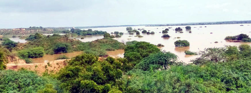Chambal's surge slows down, but the danger persists.