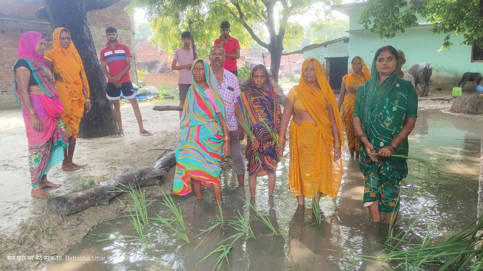 बीरबलपुर गांव में सड़क पर जमे गंदे पानी में धान की रोपाई करती गांव की महिलाएं। संवाद