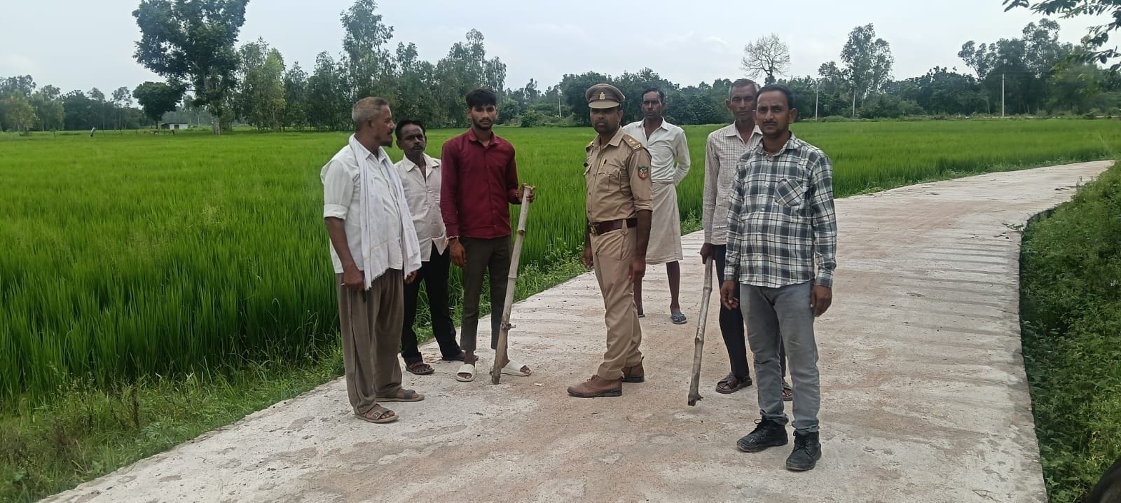 ढेकवा गांव के पास लाठी-डंडा लेकर पागल सियार की खोज करती वन विभाग की टीम व ग्रामीण। 