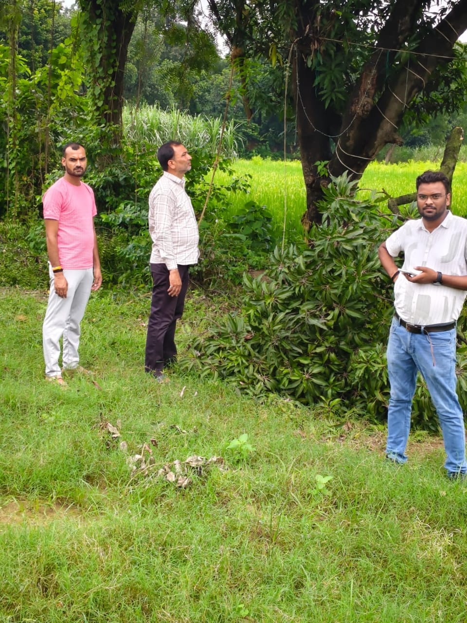 फाॅल्ट सही करते कर्मी