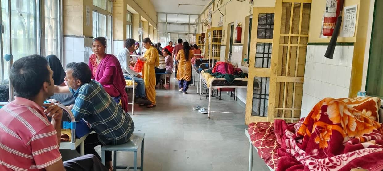 What a system... dogs on the beds, patients in the veranda