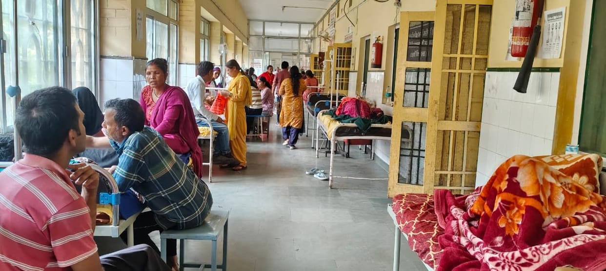 What a system... dogs on the beds, patients in the veranda