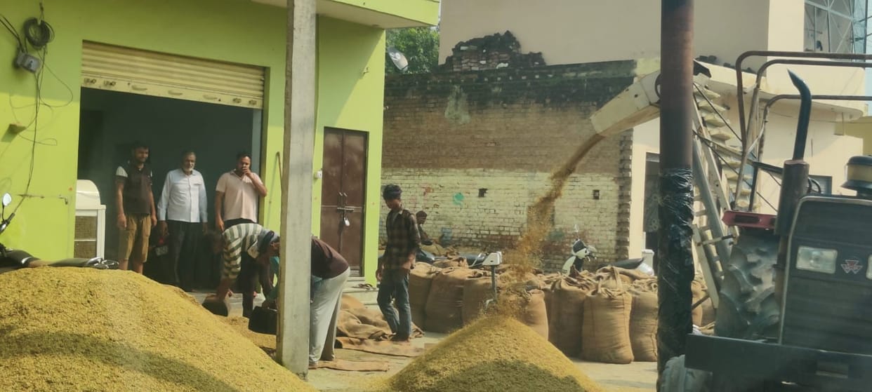 Paddy arrivals begin at Garh Mandi; trade worth crores kicks off on the roadside.