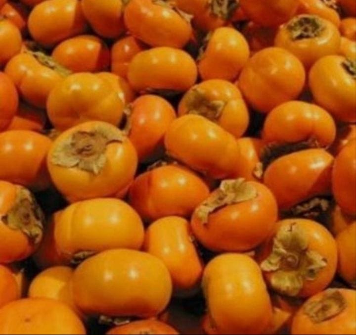japani fruit crops in sirmaur
