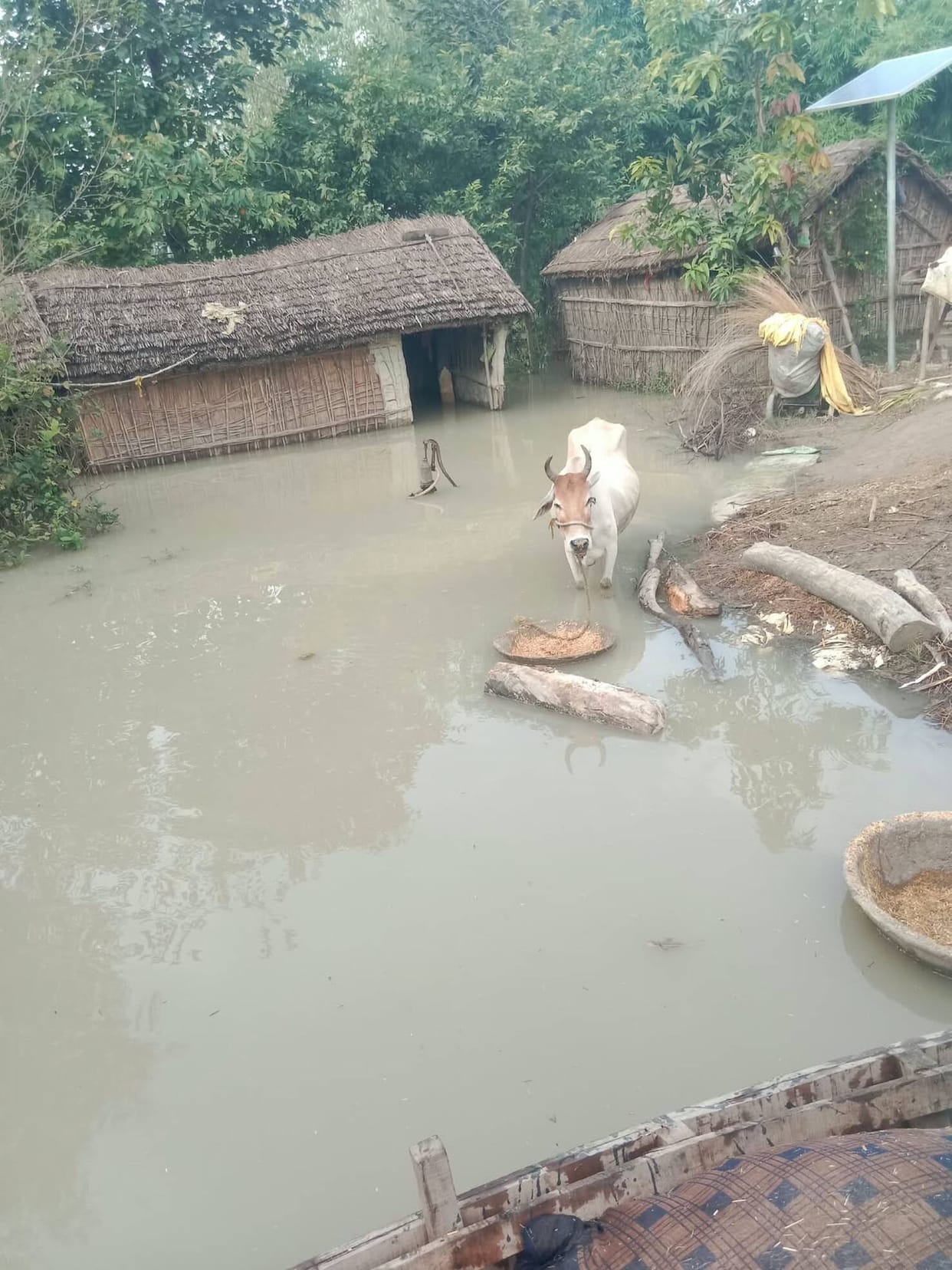 Saryu's Fury: Water in homes, cooking fires out, waiting for boats.