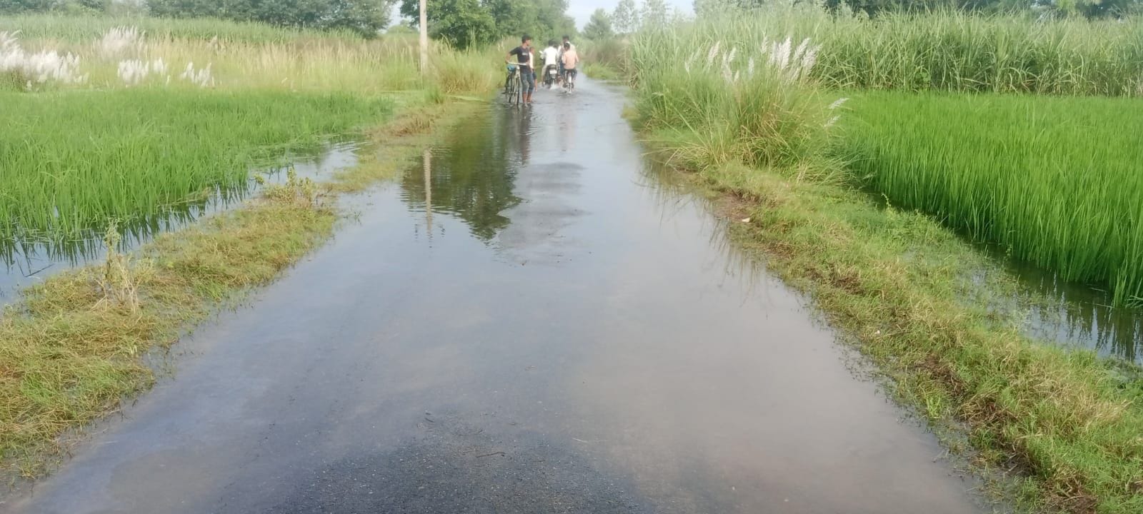 मंगलनगर से वीरपुर भोज जाने वाले मार्ग पर पुल के ऊपर बह रहा बिसुही नदी का पानी। - संवाद