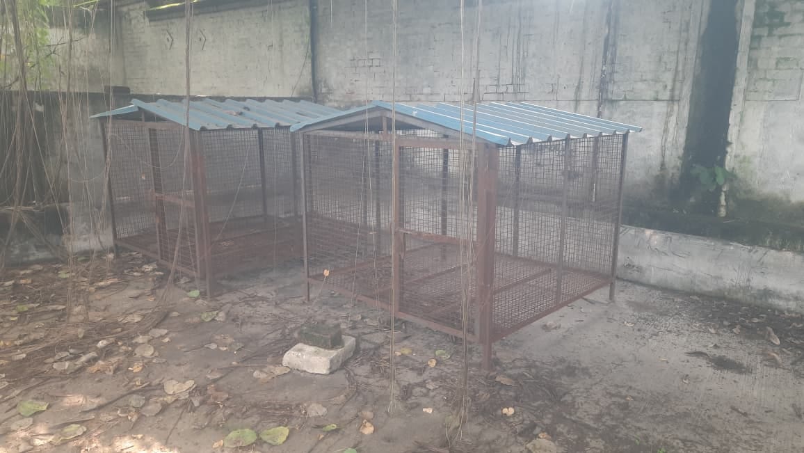 People frustrated by the sluggish pace of the dog sterilization drive