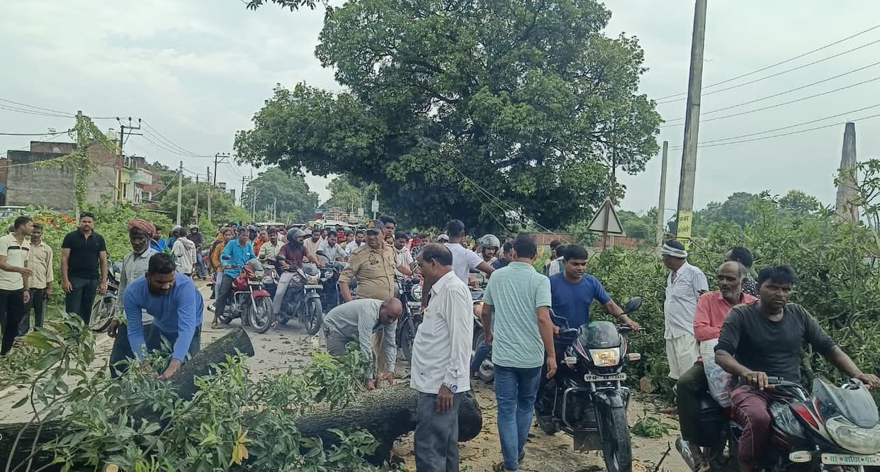 Tree branch falls on Bahraich-Gonda road; traffic disrupted.