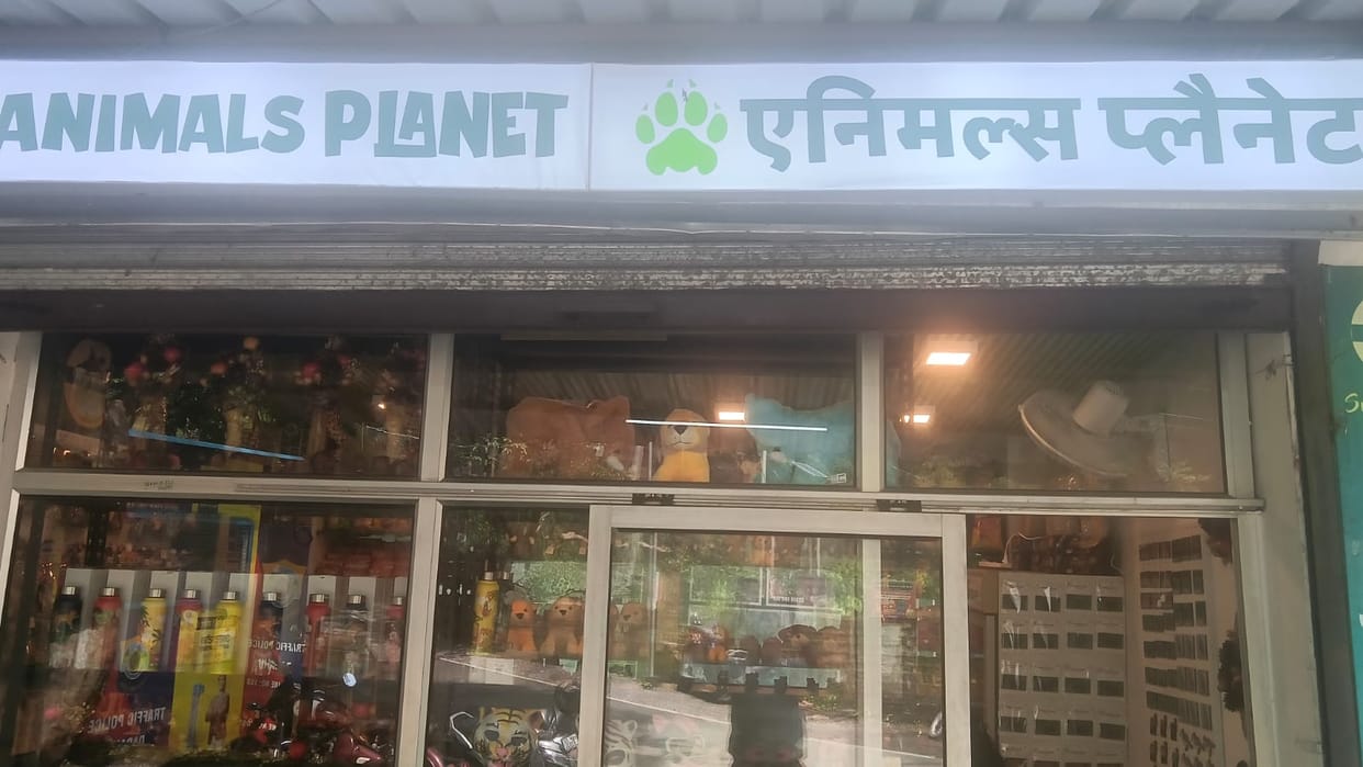 soviner shop in renuka ji