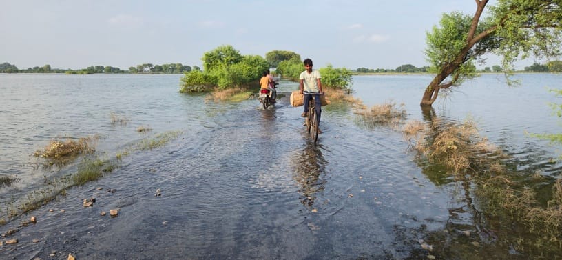 Floodwaters stagnating in the fields; a foul odor rising from rotting crops.
