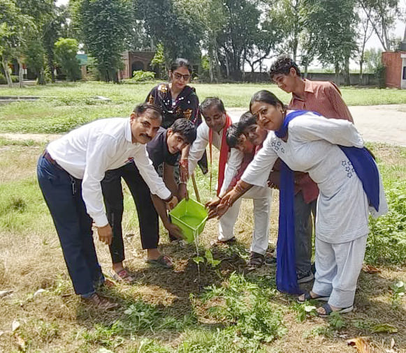 सरकारी स्कूल बुबका में पौधरोपण करता शिक्षक व व अन्य। संस्थान