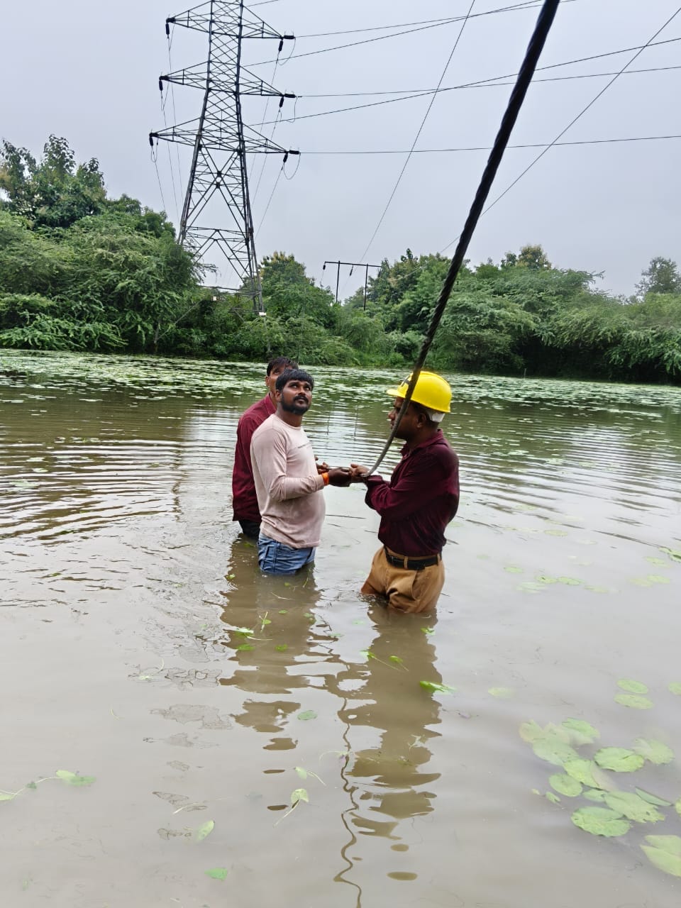 Shahjahanpur News: बारिश से कहीं गिरे पेड़, कहीं डालें... उपकेंद्रों की लाइनें टूटने से बिजली गुल