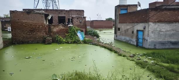 Plots turn into ponds