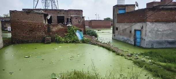 Plots turn into ponds