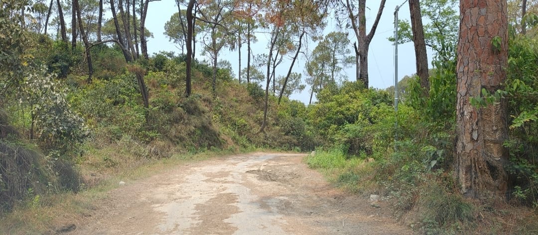 Barthi-Malari road turns into a stretch of potholes; motorists face increased difficulties.