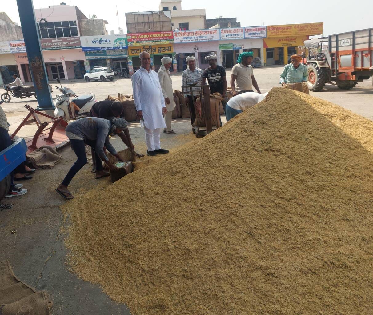 1509 Paddy prices rise by up to Rs 700, farmers rejoice