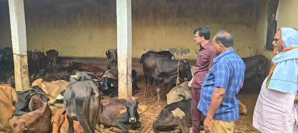 Kundauli cow shelter center in-charge suspended, caretaker replaced