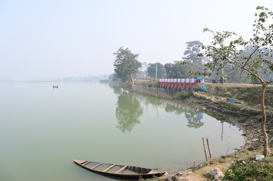 Siddharthnagar News: Biodiversity increases in Majhauli Sagar; 306 species found