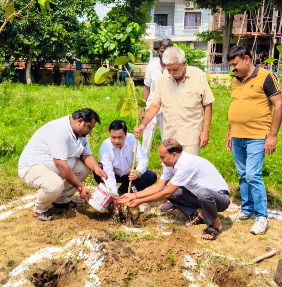 Harishankari saplings were planted.