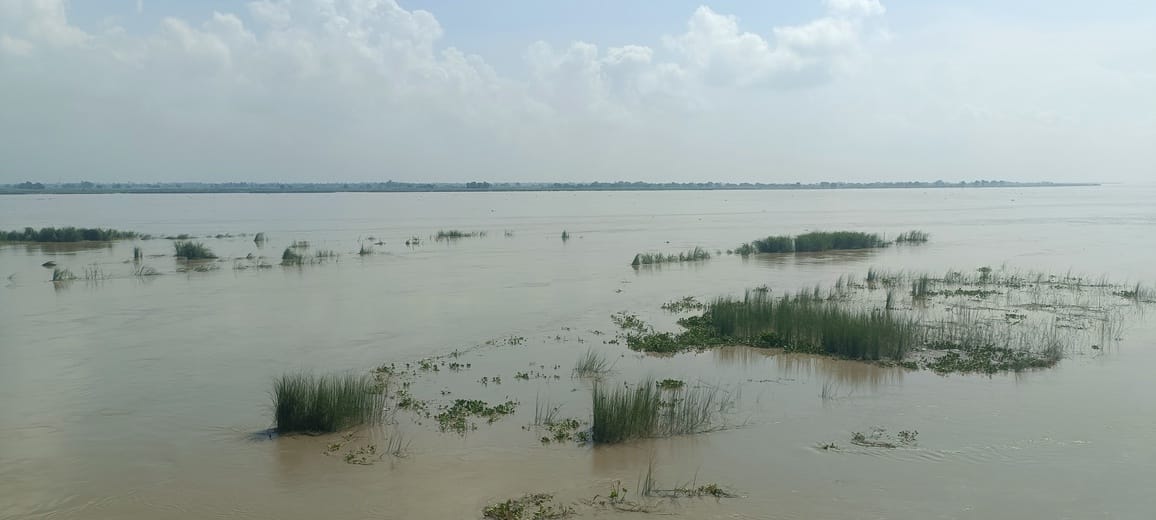 Crops are submerged, water is now reaching close to houses