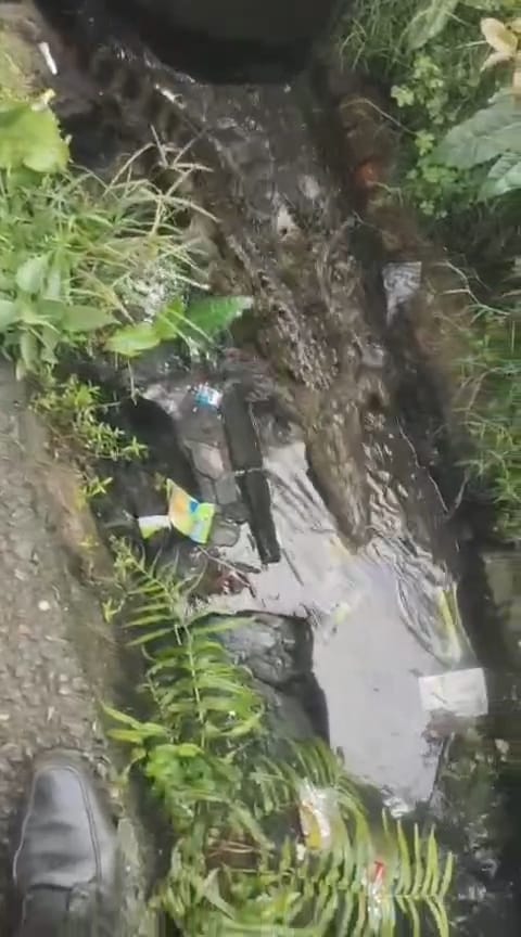 Panic ensued after a crocodile was spotted in a drain in Badujai-I.