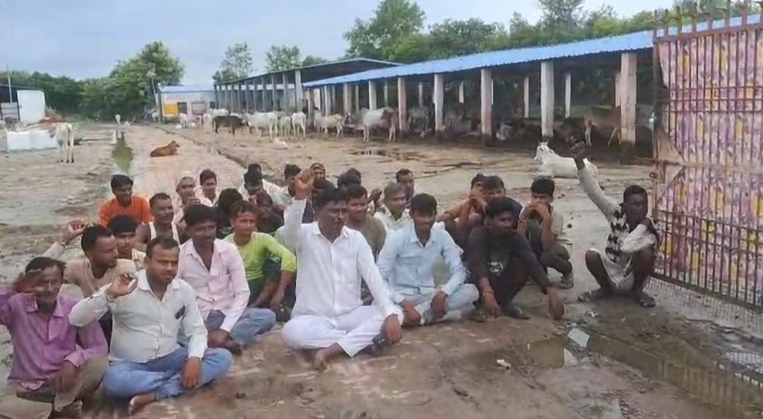 Cowshed in a state of neglect; Block Pramukh's representative stages a sit-in protest.