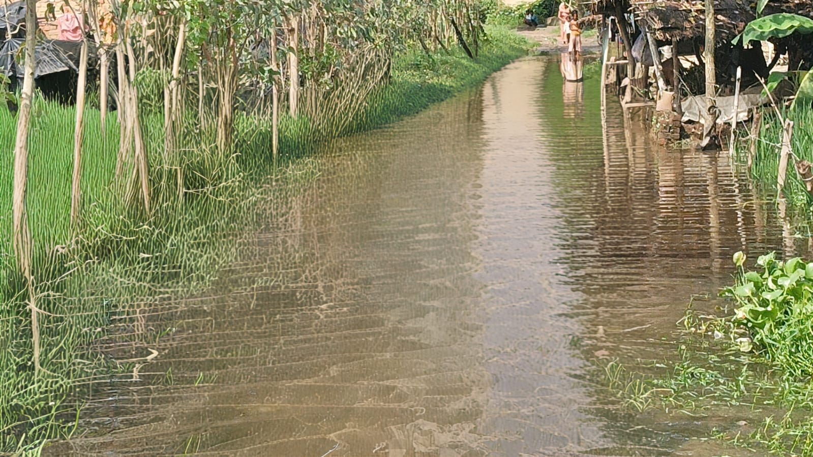 बरखेड़ा ब्लॉक कुसमा के गली में बहता तीन से चार फीट पानी संवाद