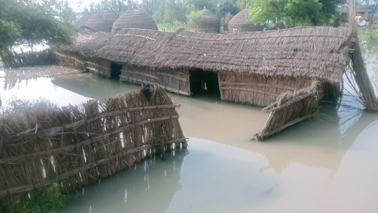 Villagers in flood-affected areas are barely hanging on; hardships have mounted.