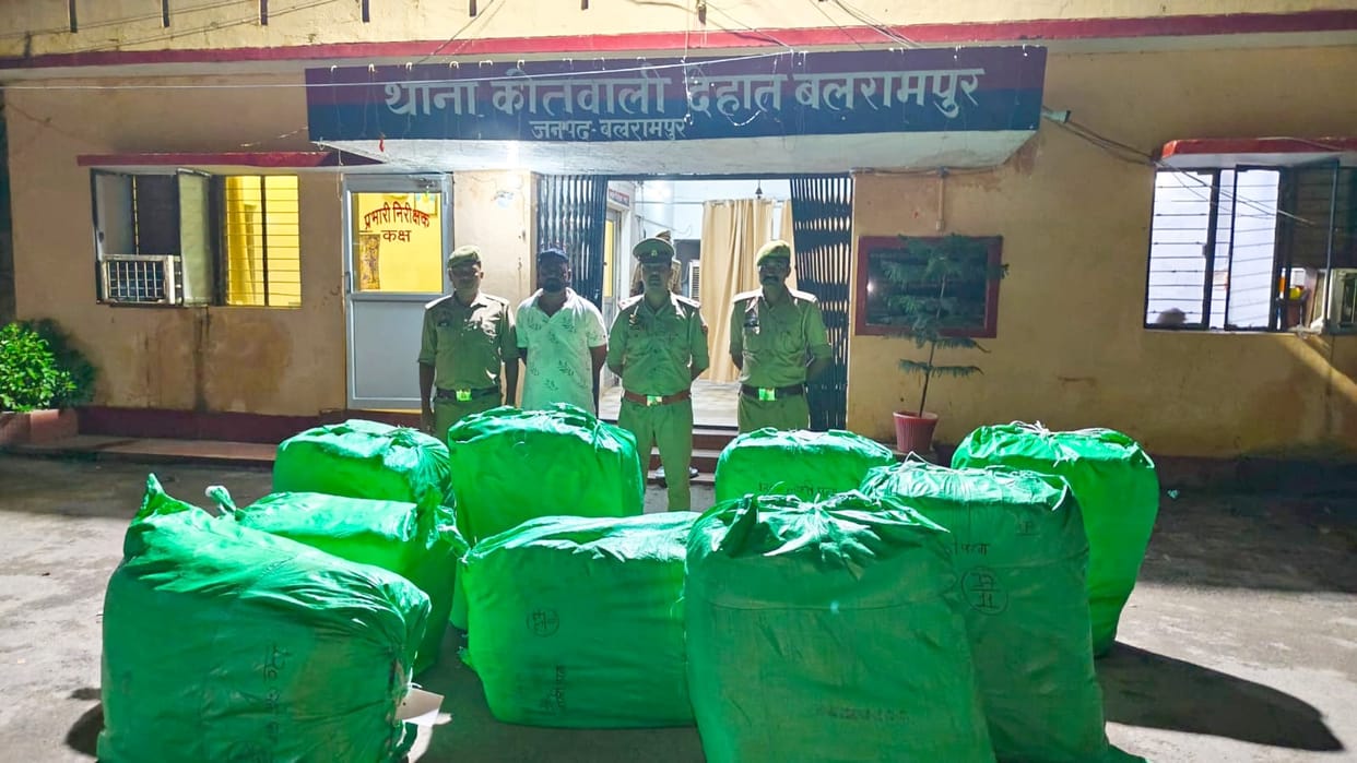 Illegal trade of firecrackers under the guise of a biscuit and chocolate shop
