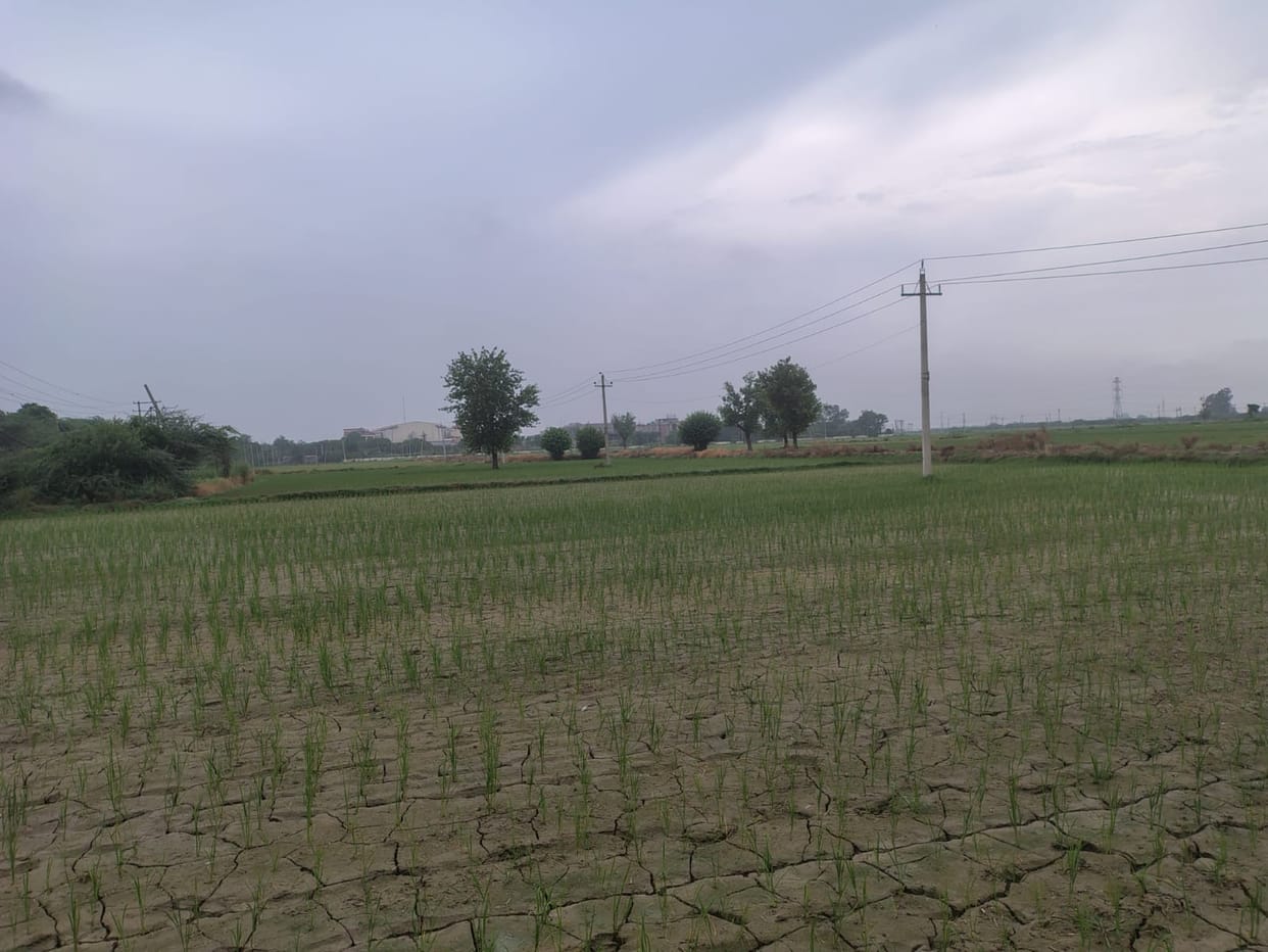 Efforts accelerated for the 50 MLD canal water treatment plant at Devdu.