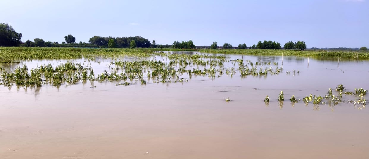 Three dozen villages in Jalalabad are affected by floods.