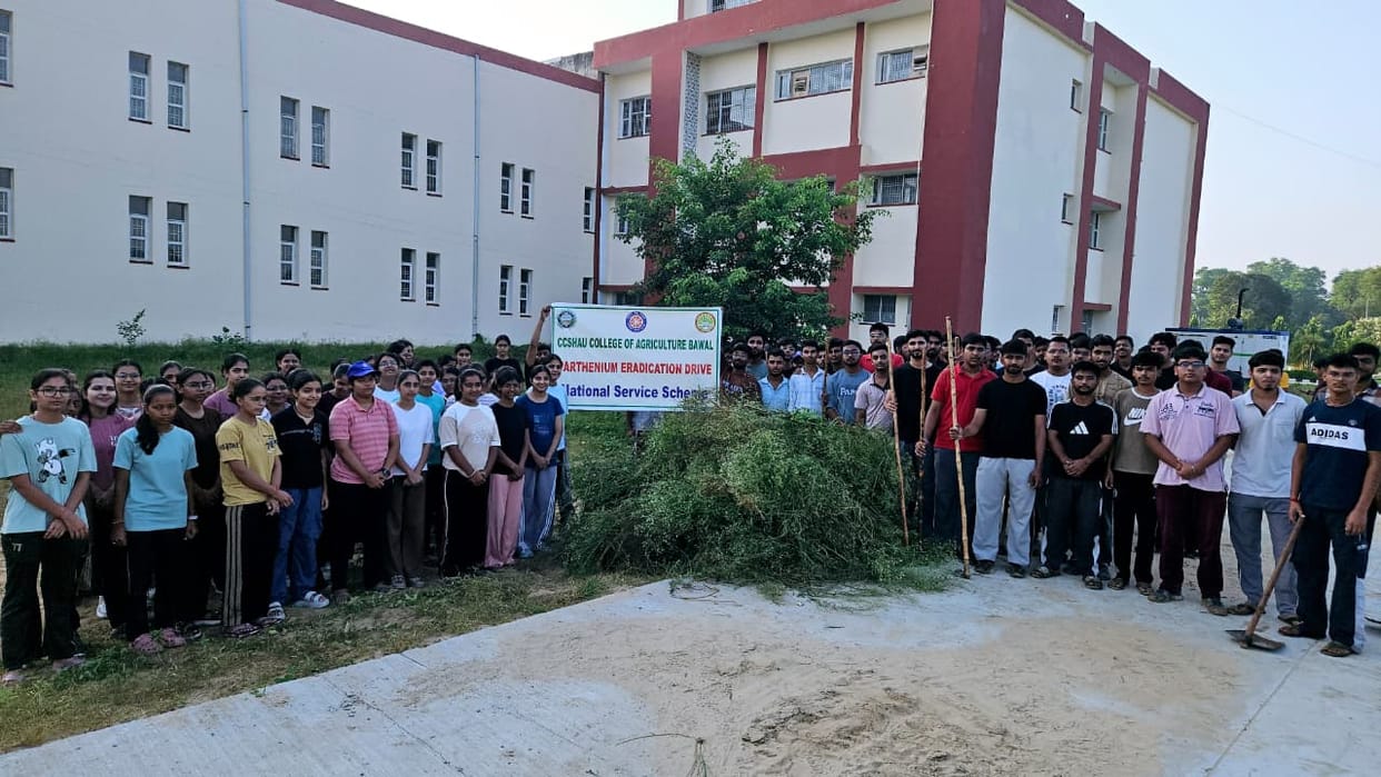NSS volunteers conducted a campaign to clear *Parthenium* (carrot grass).