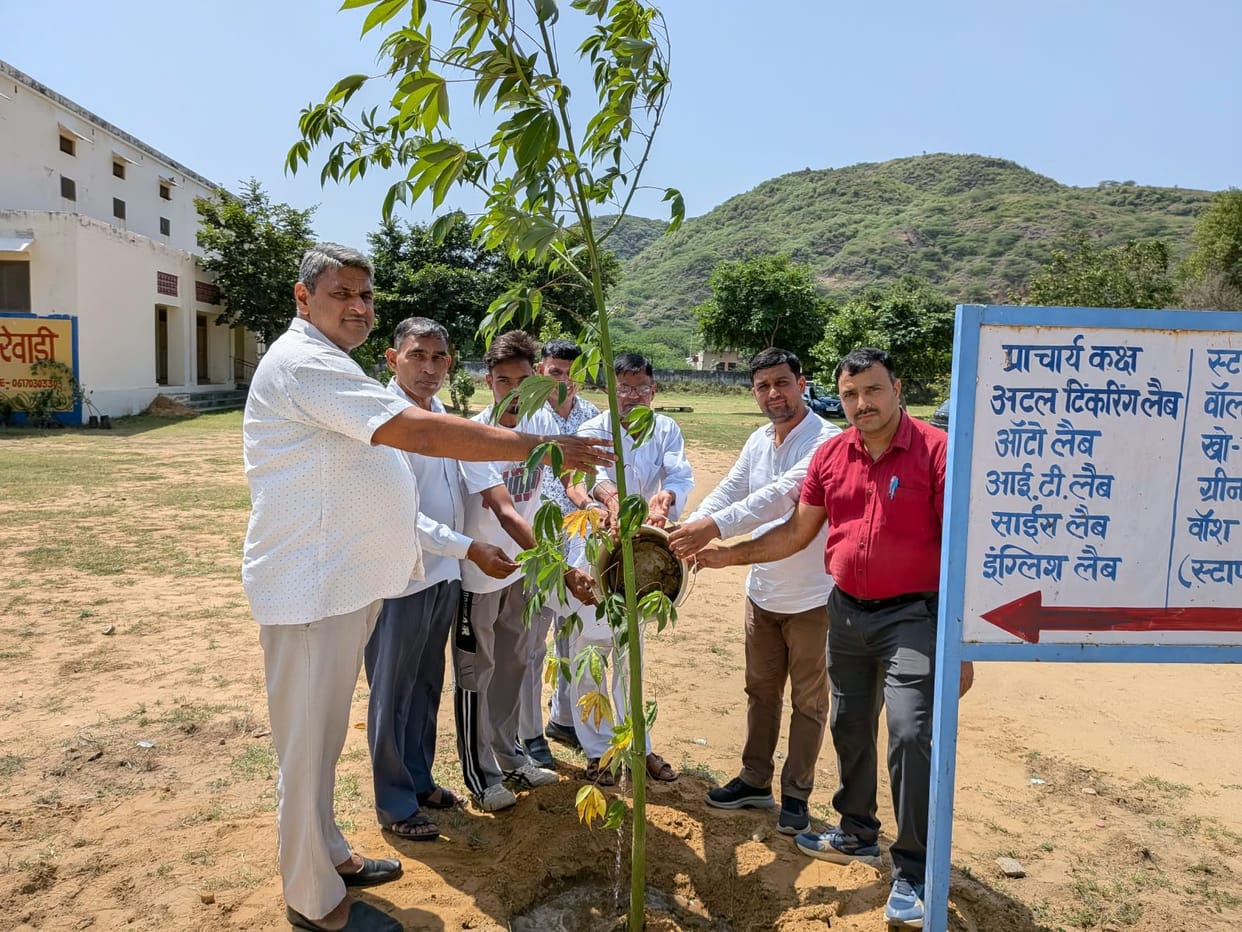 Tree plantation carried out on the school campus.